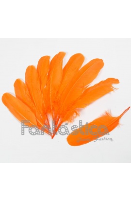 Plumas sueltas para...