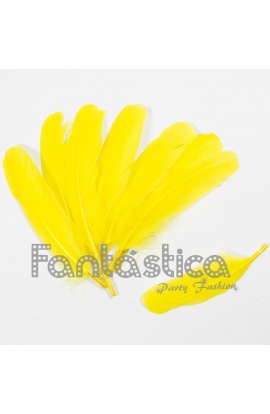 Plumas sueltas para...