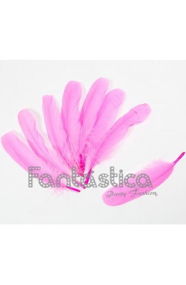Plumas sueltas para...