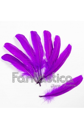 Plumas sueltas para...