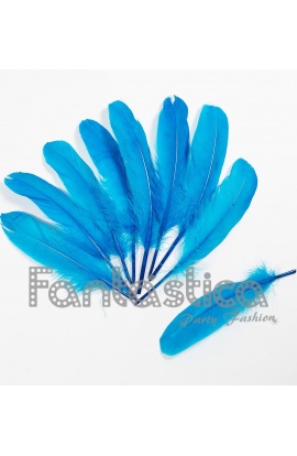 Plumas sueltas para...