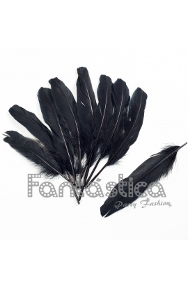 Plumas sueltas para...