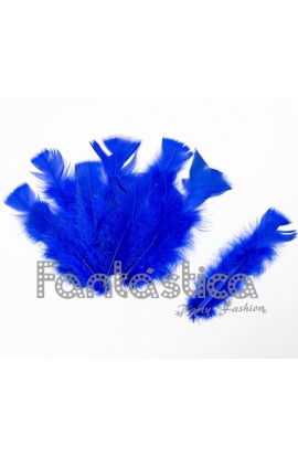 Plumas sueltas para...