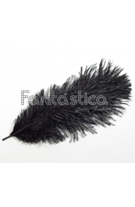 Pluma de Avestruz para...