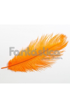 Pluma de Avestruz para...