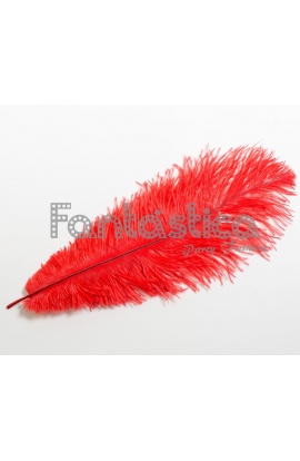 Pluma de Avestruz para...