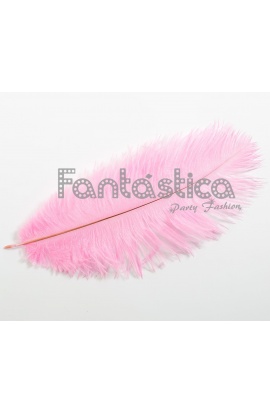 Pluma de Avestruz para...