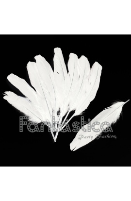 Plumas sueltas para...