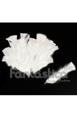 Plumas sueltas para...