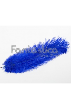 Pluma de Avestruz para...