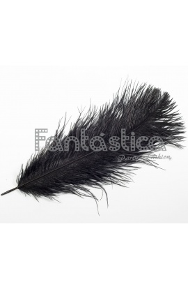 Pluma de Avestruz para...