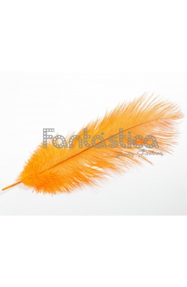 Pluma de Avestruz para...