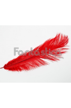 Pluma de Avestruz para...
