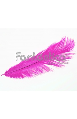 Pluma de Avestruz para...