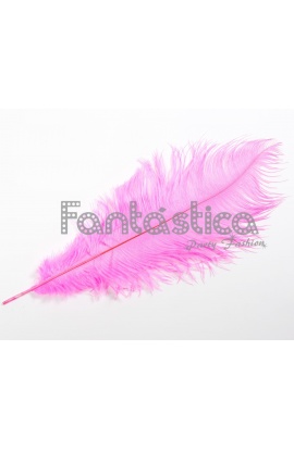 Pluma de Avestruz para...