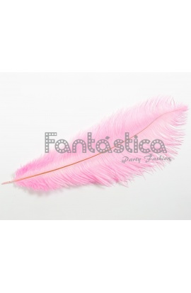 Pluma de Avestruz para...