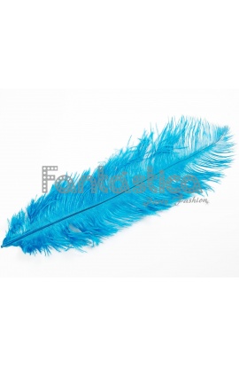 Pluma de Avestruz para...