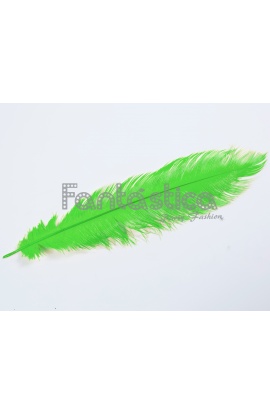Pluma de Avestruz para...
