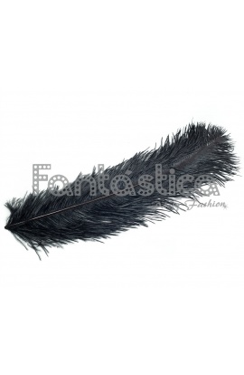Pluma de Avestruz para...