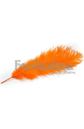 Pluma de Avestruz para...