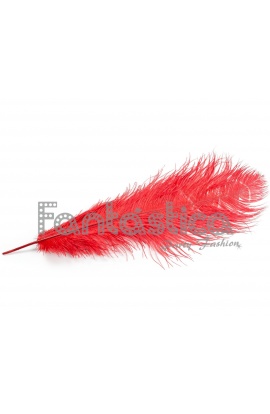 Pluma de Avestruz para...