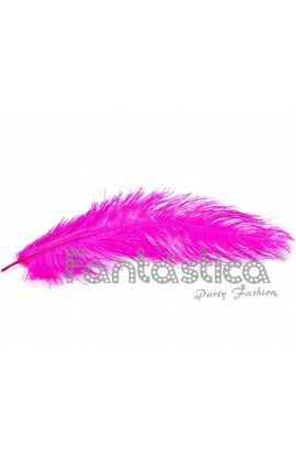 Pluma de Avestruz para...
