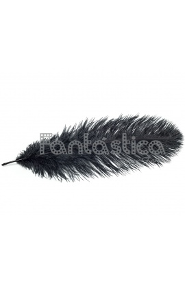 Pluma de Avestruz para...