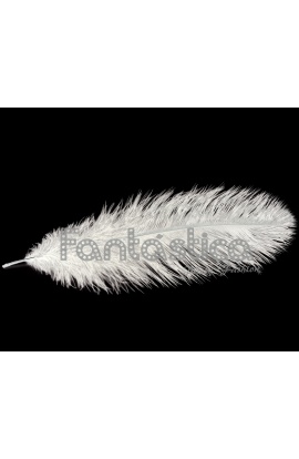 Pluma de Avestruz para...