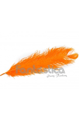 Pluma de Avestruz para...