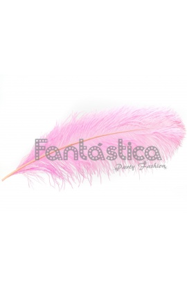 Pluma de Avestruz para...