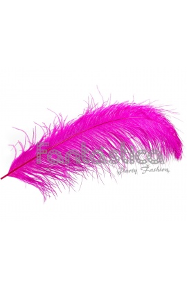Pluma de Avestruz para...