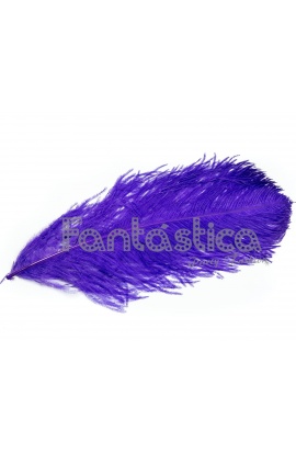 Pluma de Avestruz para...