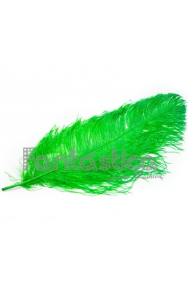 Pluma de Avestruz para...