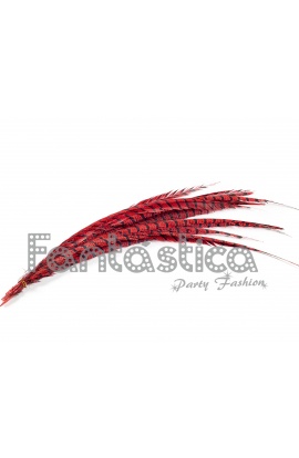 Set de 10 Plumas de Faisán...