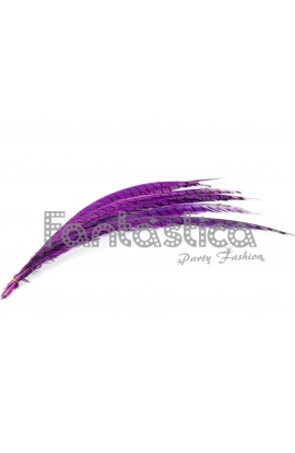 Set de 10 Plumas de Faisán...
