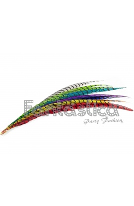 Set Multicolor Plumas de...