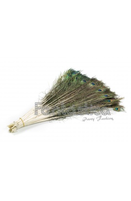 Set 50 Plumas de Pavo Real...