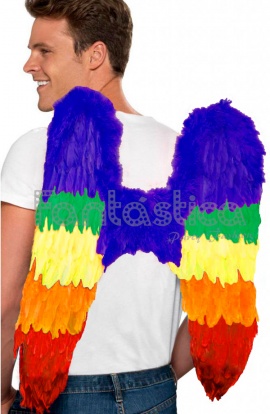 Alas de Plumas Multicolor...