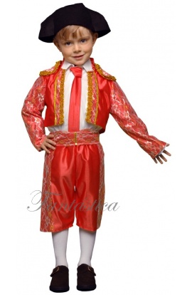 Disfraz para Niño Torero...