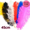 Plumas de Avestruz 